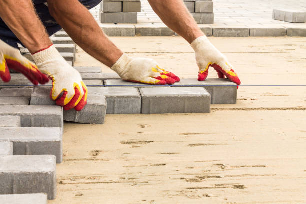 Best Driveway Paving Contractor  in Rogers, MN
