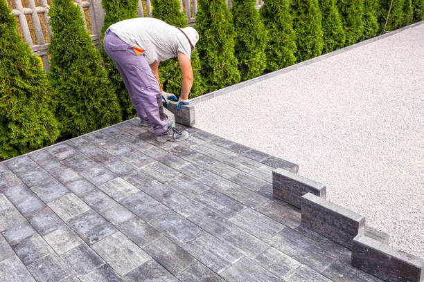 Best Custom Driveway Pavers  in Rogers, MN